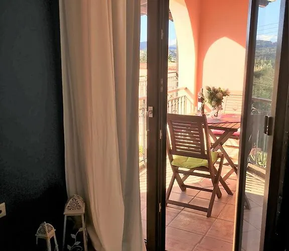 The Olive Tree House