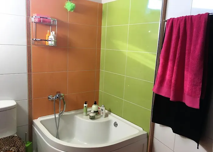 The Olive Tree House