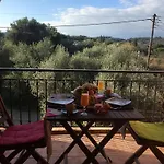 Appartamento The Olive Tree House *
