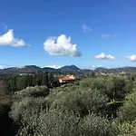 The Olive Tree House