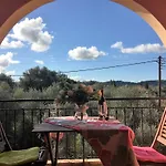 The Olive Tree House