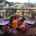 The Olive Tree House Appartamento *
