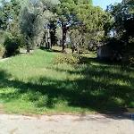 The Olive Tree House Appartamento *