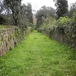 The Olive Tree House Appartamento