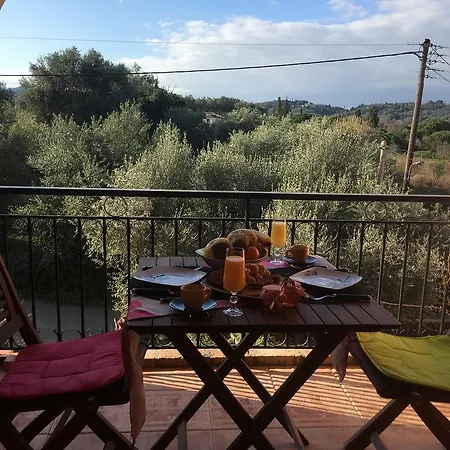 דירה The Olive Tree House *