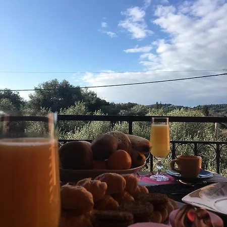 The Olive Tree House דירה