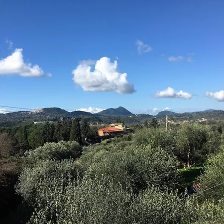 The Olive Tree House