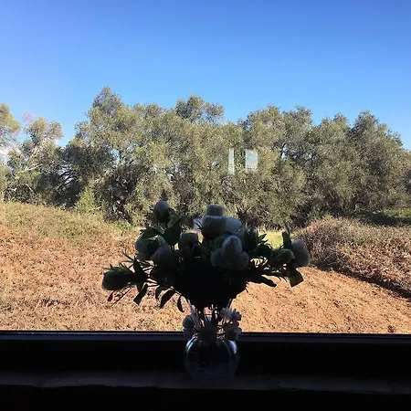 דירה The Olive Tree House Kompítsion