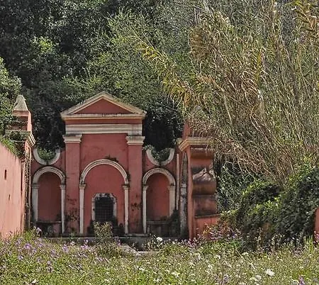 The Olive Tree House
