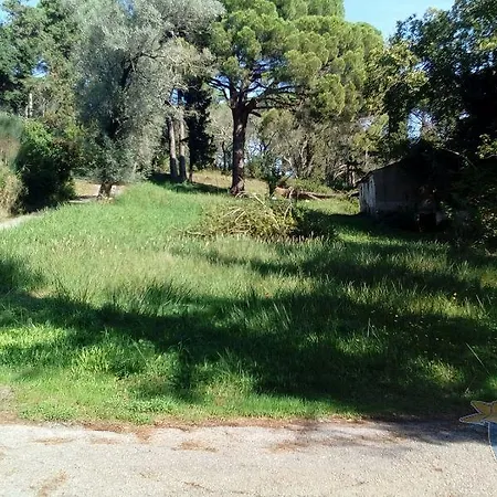 The Olive Tree House דירה *