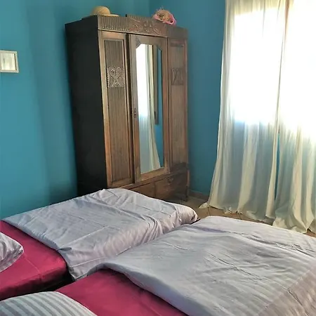 Apartament The Olive Tree House *