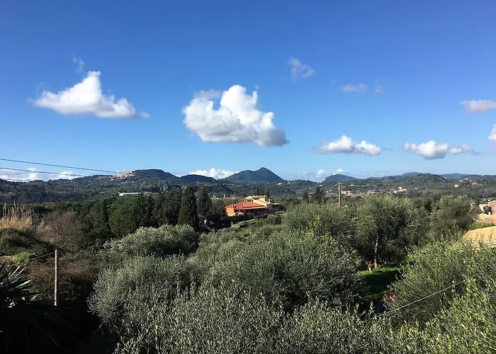 The Olive Tree House