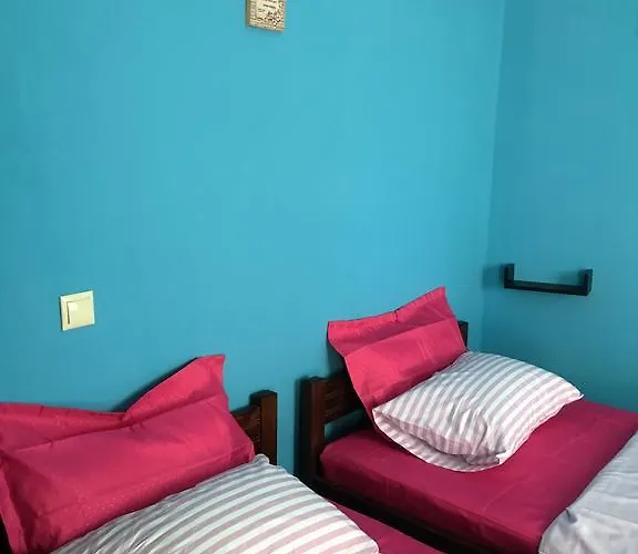 Apartman The Olive Tree House