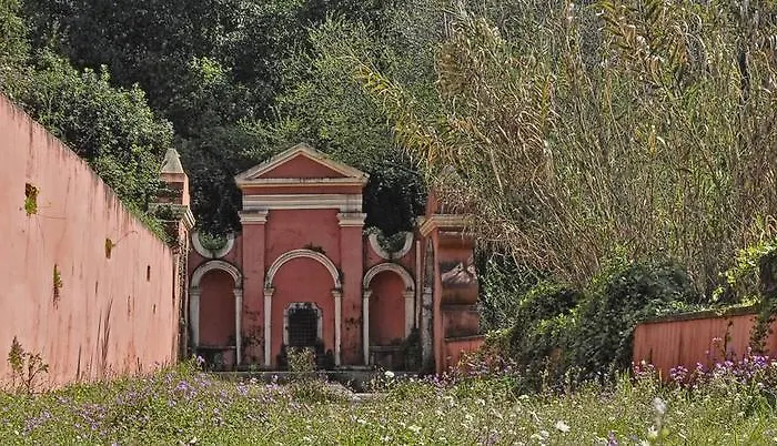 The Olive Tree House