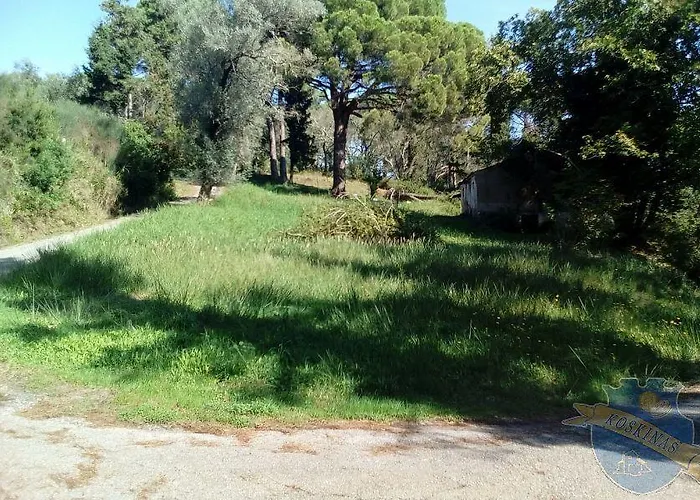 The Olive Tree House Appartamento *